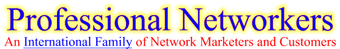 Professional Networkers